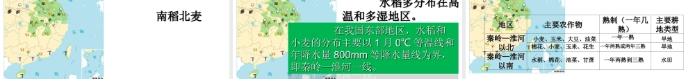八年级地理上册 第四章 第二节 农业课件 （新版）新人教版-（新版）新人教版初中八年级上册地理课件