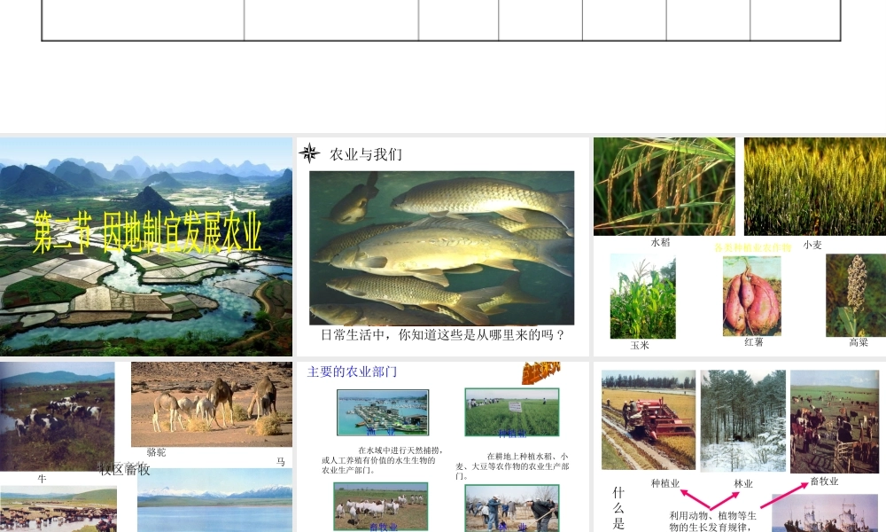 八年级地理上册 第四章 第二节 农业课件 （新版新人教版-新人教版初中八年级上册地理课件