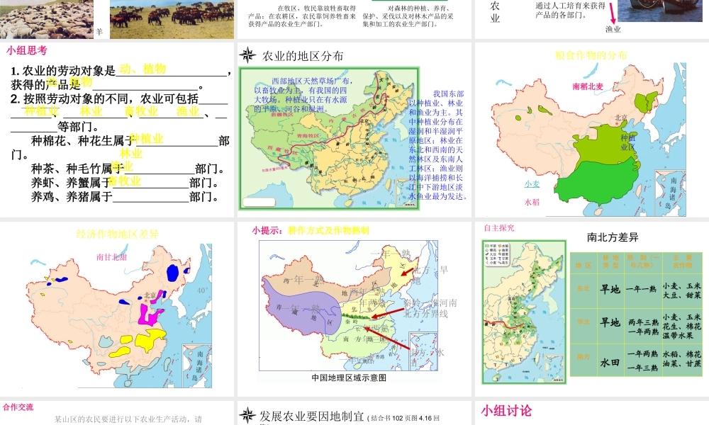 八年级地理上册 第四章 第二节 农业课件 （新版新人教版-新人教版初中八年级上册地理课件