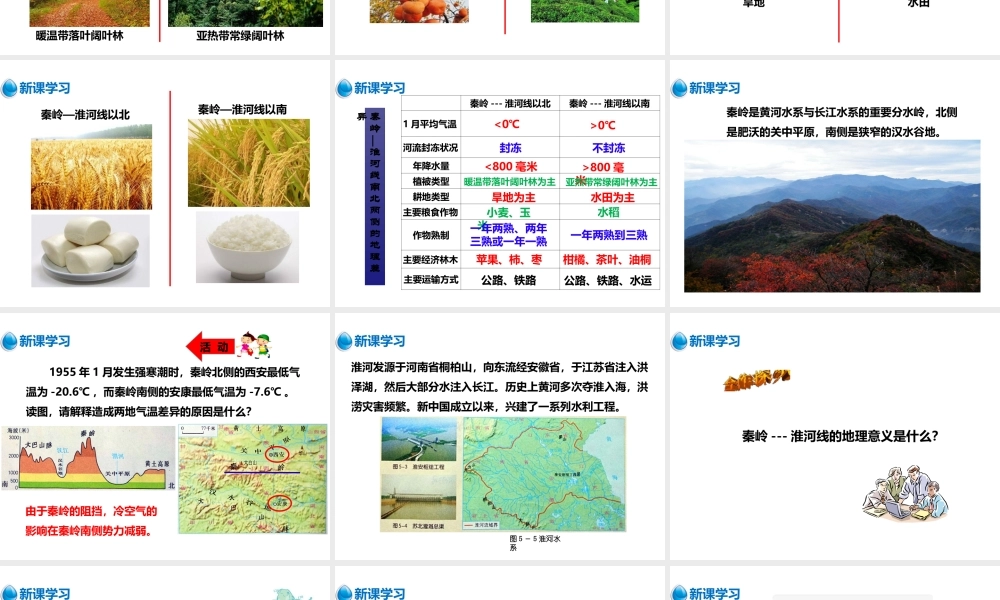 八年级地理下册 5.1 四大地理区域的划分课件 （新版）湘教版