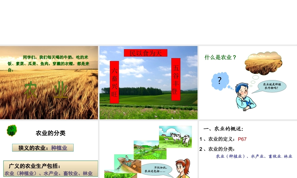 八年级地理上册 第四章 第二节 农业课件 新人教版-新人教版初中八年级上册地理课件