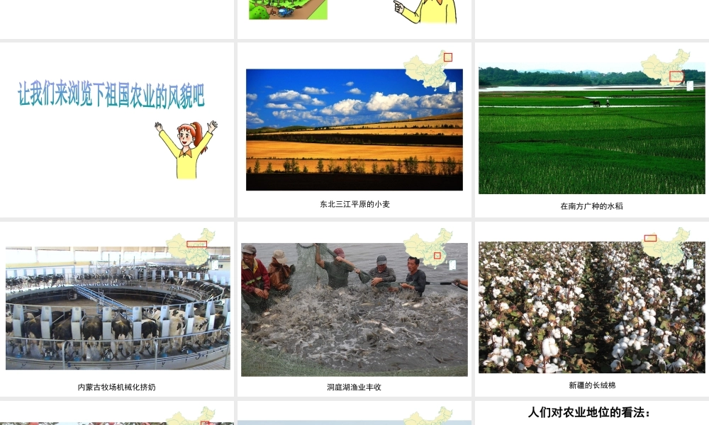 八年级地理上册 第四章 第二节 农业课件 新人教版-新人教版初中八年级上册地理课件