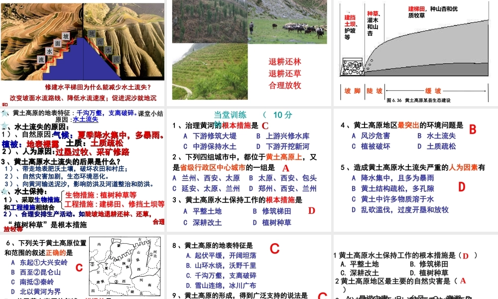八年级地理下册 6.3 世界最大的黄土堆积区——黄土高原 水土流失及其治理课件 （新版）新人教版-（新版）新人教版初中八年级下册地理课件