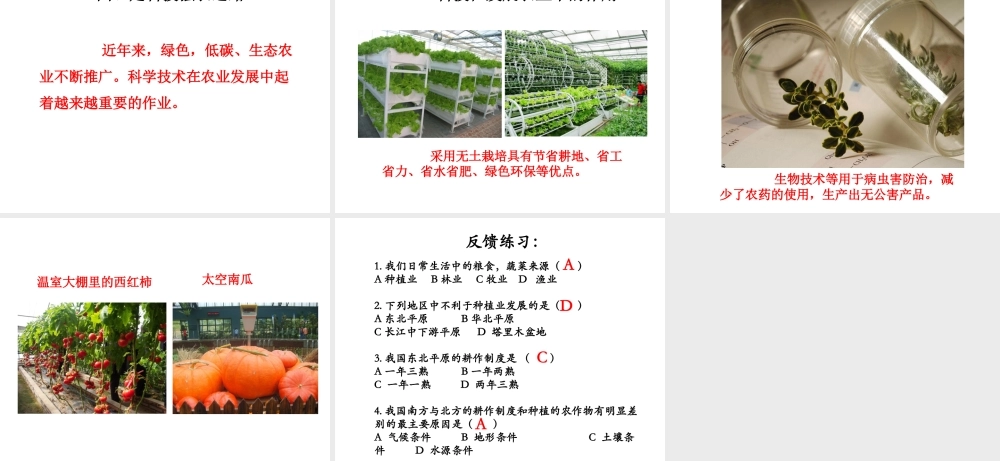 八年级地理上册 第四章 第二节 农业课件（1）（新版）新人教版-（新版）新人教版初中八年级上册地理课件