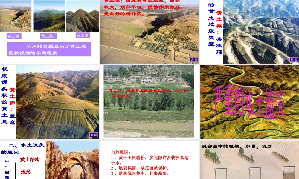 八年级地理下册 6.3 世界最大的黄土堆积区—黄土高原课件 （新版）新人教版-（新版）新人教版初中八年级下册地理课件