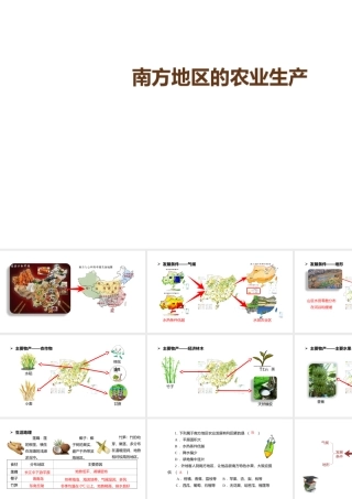 八年级地理下册 5.2 北方地区和南方地区 南方地区的农业生产课件 （新版）湘教版-（新版）湘教版初中八年级下册地理课件