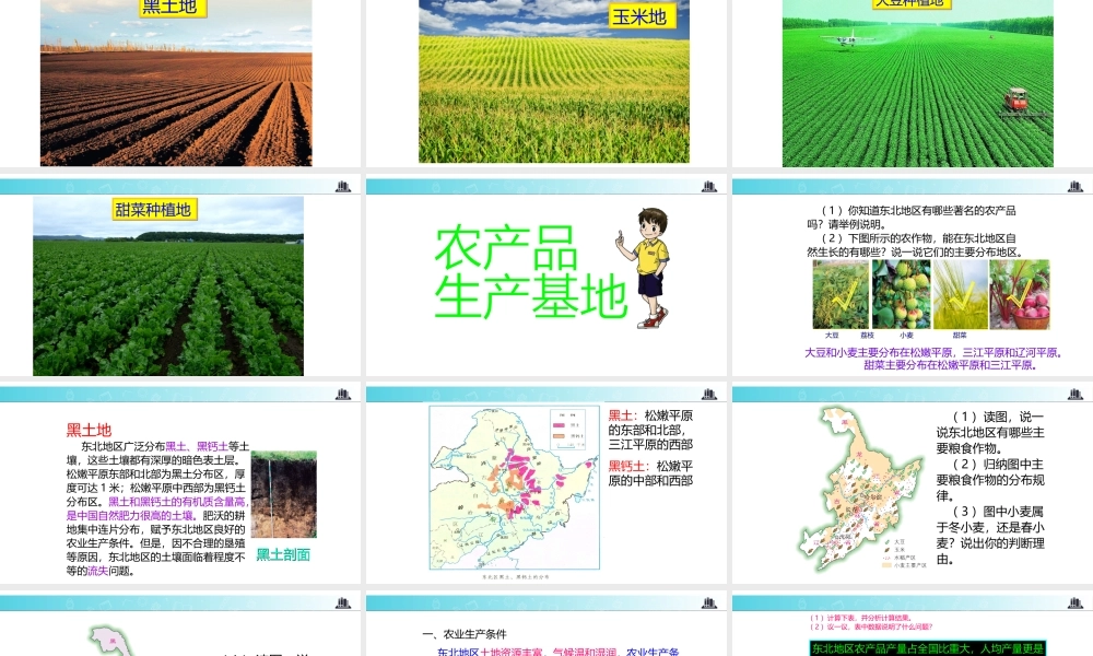 八年级地理下册 6.3东北地区的产业分布课件 （新版）湘教版-（新版）湘教版初中八年级下册地理课件