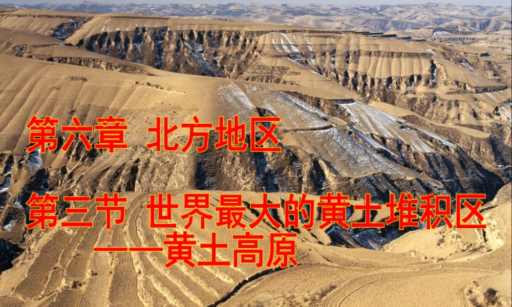 八年级地理下册 6.3世界上最大的黄土堆积区——黄土高原课件 （新版）新人教版-（新版）新人教版初中八年级下册地理课件