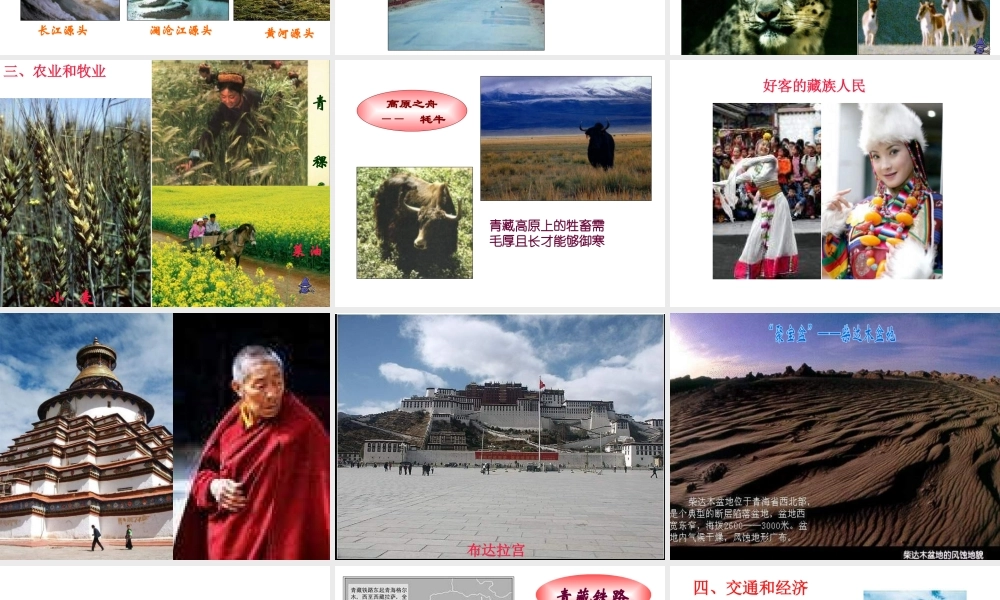 八年级地理上册 第四章 第三节 青藏地区和西北地区课件 湘教版