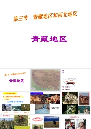 八年级地理上册 第四章 第三节 青藏地区和西北地区课件 湘教版