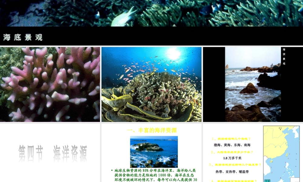 八年级地理上册 第三章 第四节 海洋资源课件 （新版）粤教版-（新版）粤教版初中八年级上册地理课件