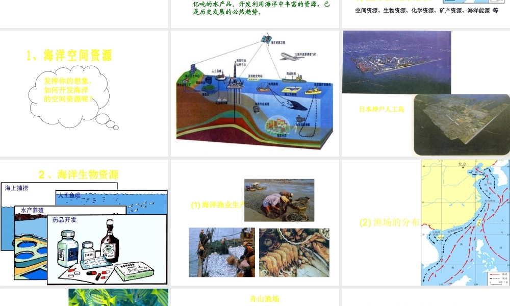 八年级地理上册 第三章 第四节 海洋资源课件 （新版）粤教版-（新版）粤教版初中八年级上册地理课件