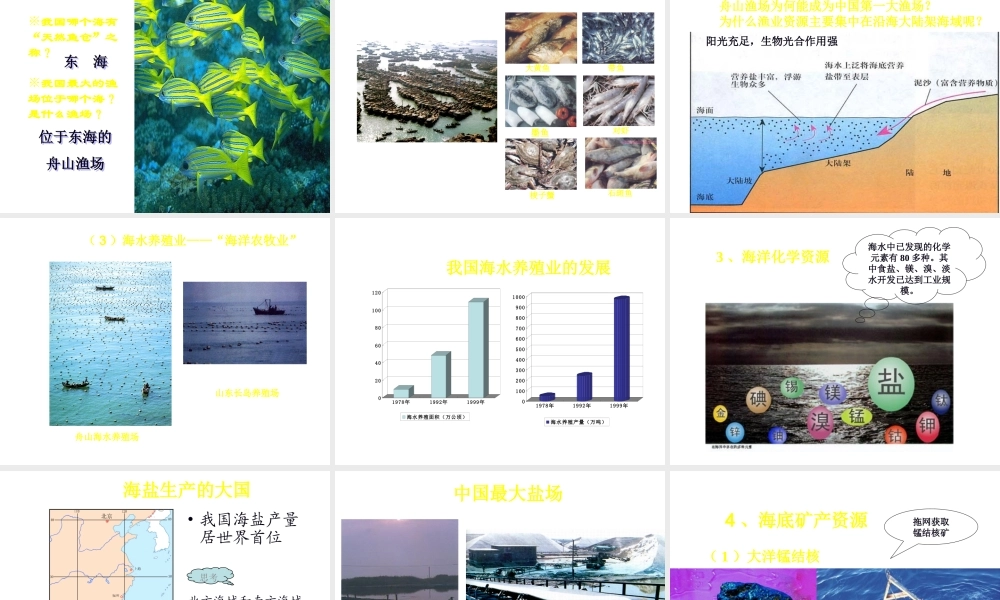 八年级地理上册 第三章 第四节 海洋资源课件 （新版）粤教版-（新版）粤教版初中八年级上册地理课件