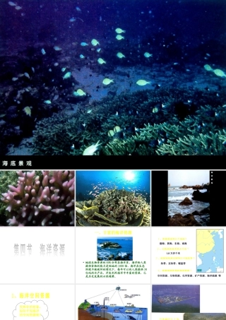 八年级地理上册 第三章 第四节 海洋资源课件 （新版）粤教版-（新版）粤教版初中八年级上册地理课件