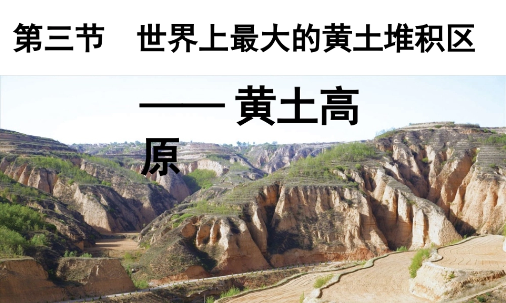 八年级地理下册 6.3世界最大的黄土堆积区——黄土高原课件 （新版）新人教版-（新版）新人教版初中八年级下册地理课件