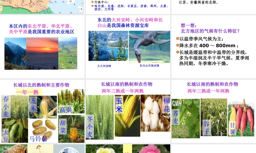 八年级地理下册 5.2 北方地区和南方地区课件 新人教版