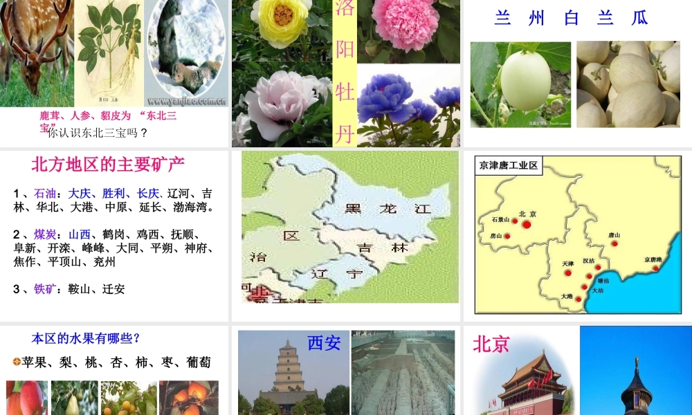 八年级地理下册 5.2 北方地区和南方地区课件 新人教版