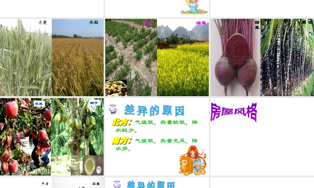 八年级地理下册 5.2 北方地区和南方地区课件 新人教版-新人教版初中八年级下册地理课件