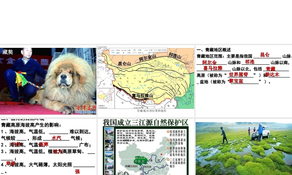 八年级地理下册 6.4 青藏地区课件 （新版）粤教版-（新版）粤教版初中八年级下册地理课件