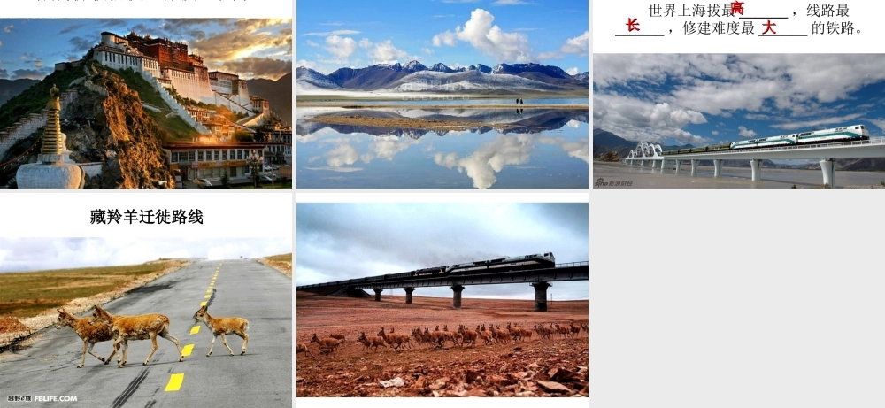 八年级地理下册 6.4 青藏地区课件 （新版）粤教版-（新版）粤教版初中八年级下册地理课件