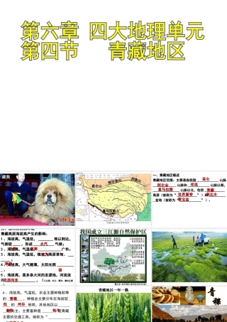 八年级地理下册 6.4 青藏地区课件 （新版）粤教版-（新版）粤教版初中八年级下册地理课件