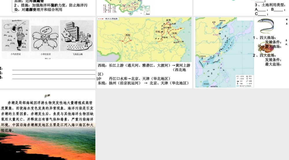 八年级地理上册 第三章《中国的自然资源》复习课件 （新版）湘教版-（新版）湘教版初中八年级上册地理课件