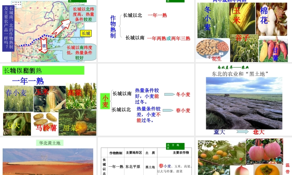 八年级地理下册 5.2 北方地区课件 湘教版-湘教版初中八年级下册地理课件