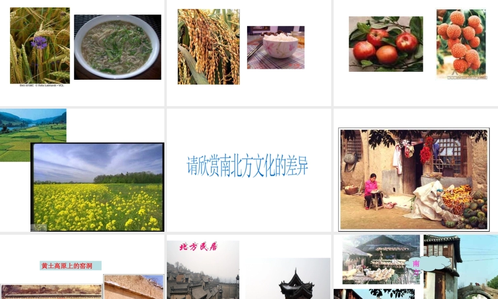 八年级地理下册 5.2 南方地区课件 （新版）湘教版-（新版）湘教版初中八年级下册地理课件