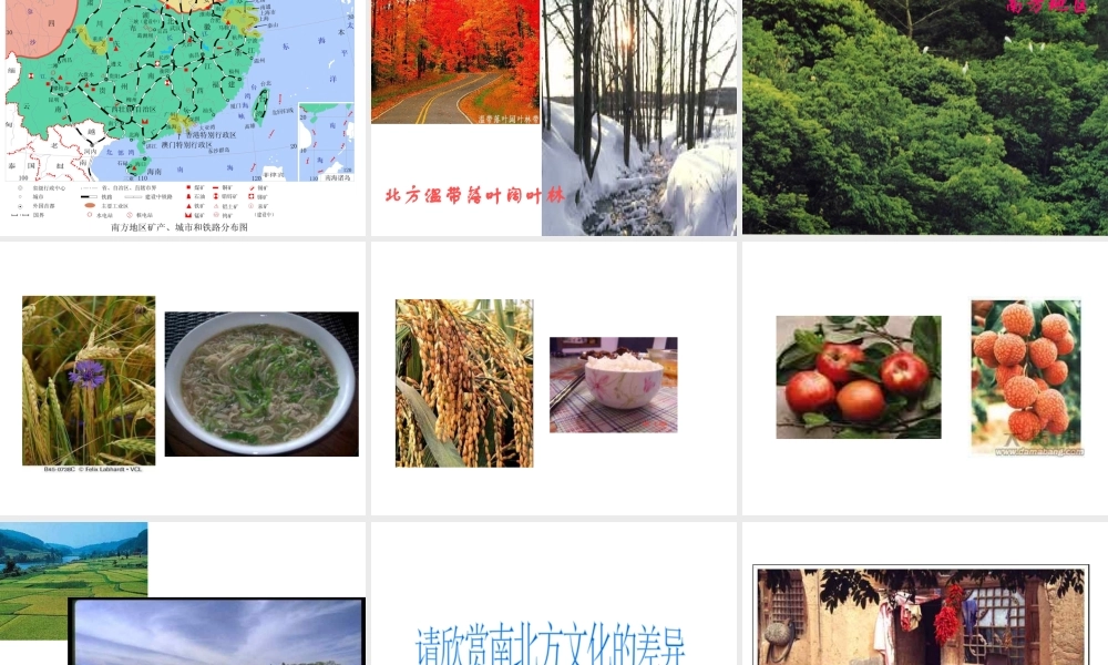 八年级地理下册 5.2 南方地区课件 湘教版-湘教版初中八年级下册地理课件