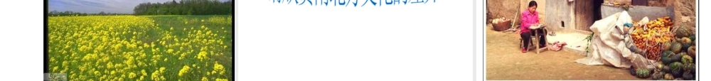 八年级地理下册 5.2 南方地区课件 湘教版-湘教版初中八年级下册地理课件