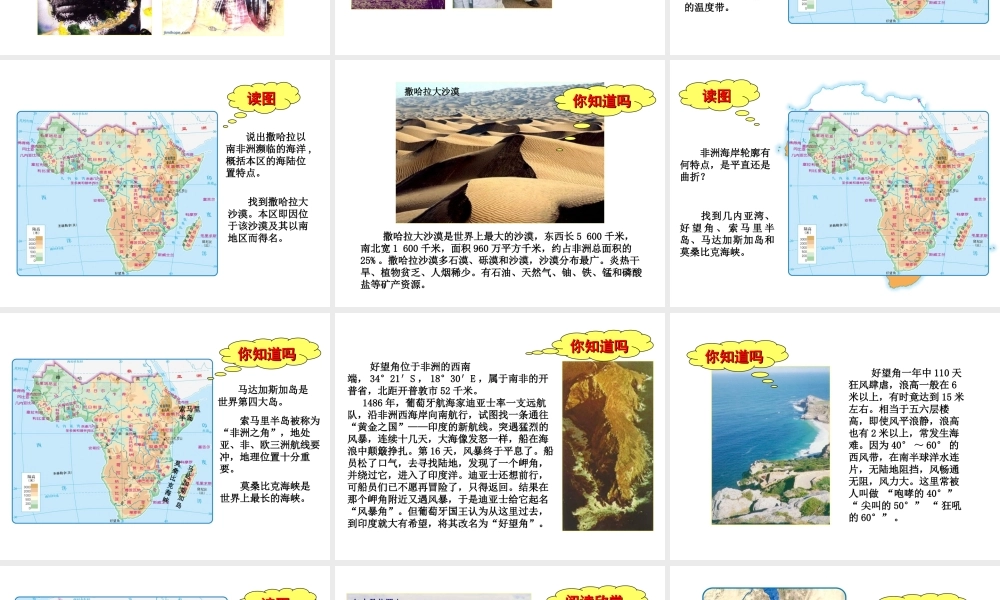 八年级地理下册 6.4 撒哈拉以南非洲课件 （新版）中图版