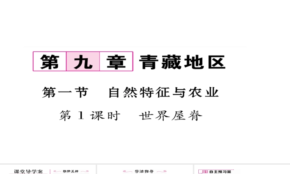 八年级地理下册 第九章 第1节 自然特征与农业（第1课时 世界屋脊）习题课件 （新版）新人教版-（新版）新人教版初中八年级下册地理课件