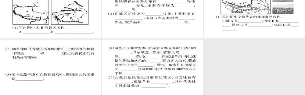 八年级地理下册 第九章 第1节 自然特征与农业（第2课时 高寒牧区和河谷农业区）习题课件 （新版）新人教版-（新版）新人教版初中八年级下册地理课件