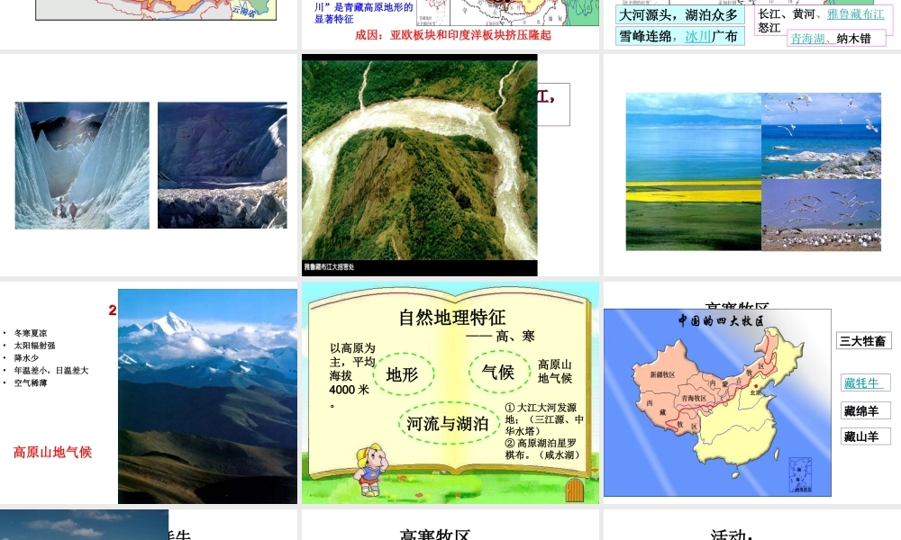 八年级地理下册 第九章 第1节 自然特征与农业课件 （新版）新人教版-（新版）新人教版初中八年级下册地理课件