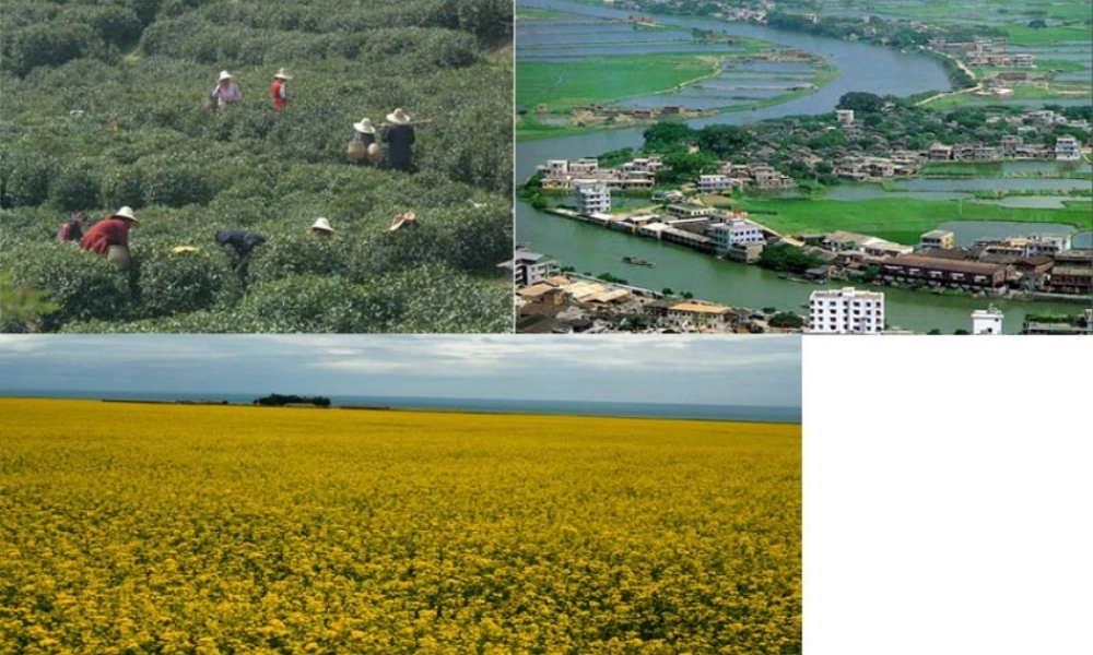 八年级地理下册 6.4 长江三角洲地区--城市密集的区域课件 晋教版-人教版初中八年级下册地理课件