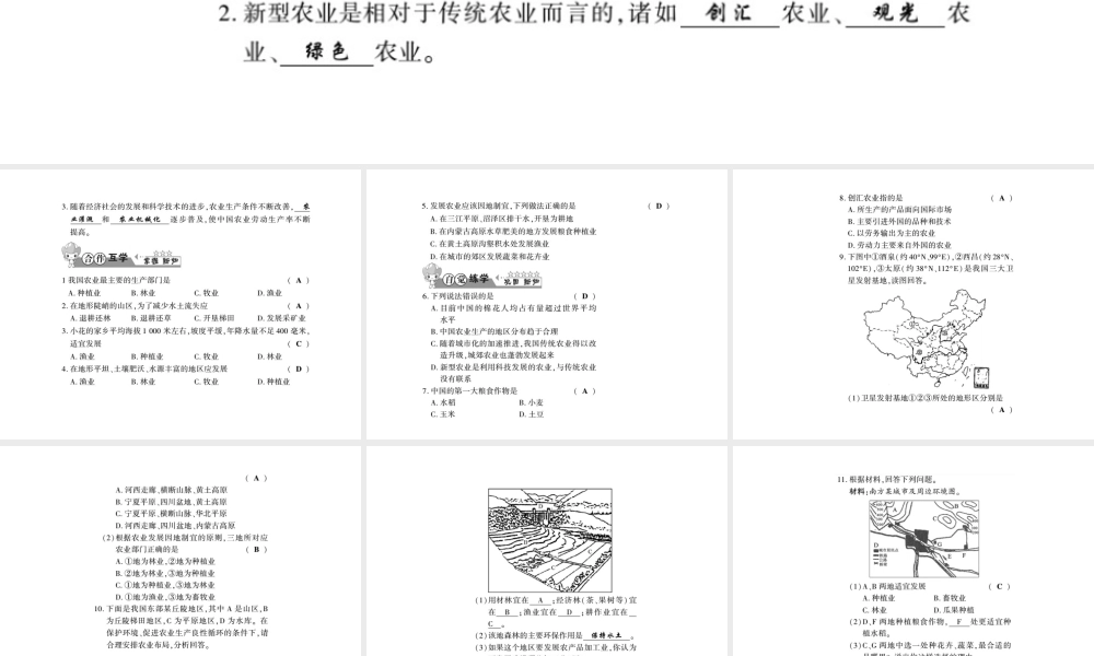 八年级地理上册 第四章 第一节 农业（第1课时）习题课件 （新版）湘教版-（新版）湘教版初中八年级上册地理课件