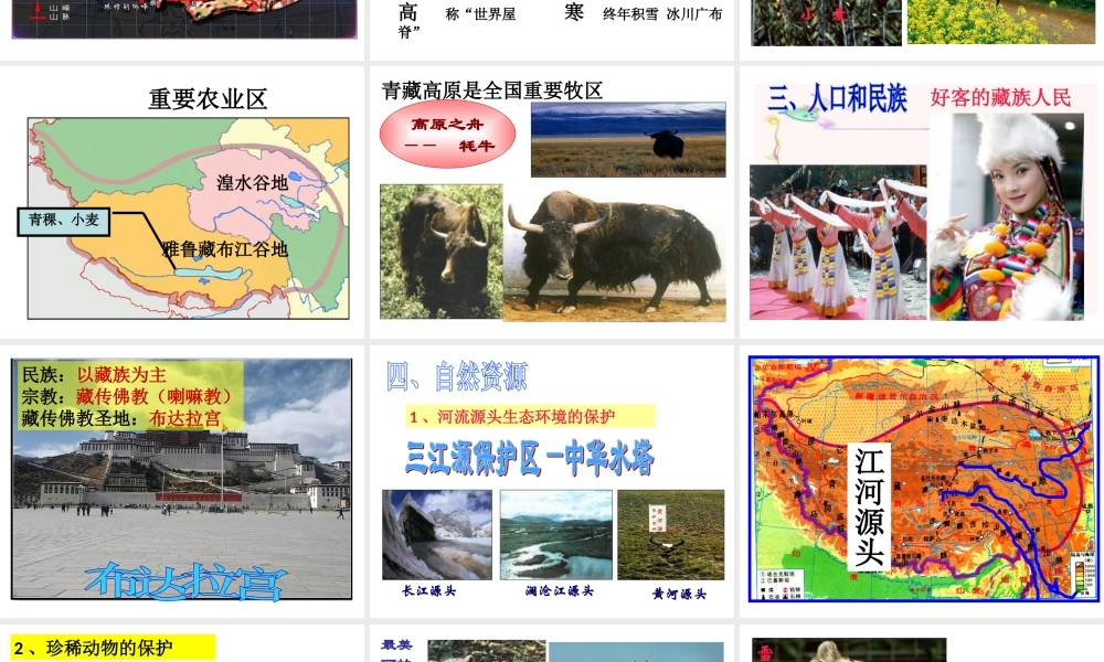 八年级地理下册 第九章 第一节 自然特征与农业课件 （新版）新人教版-（新版）新人教版初中八年级下册地理课件
