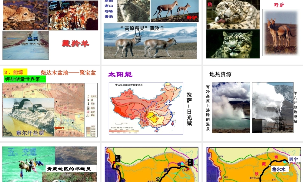 八年级地理下册 第九章 第一节 自然特征与农业课件 （新版）新人教版-（新版）新人教版初中八年级下册地理课件