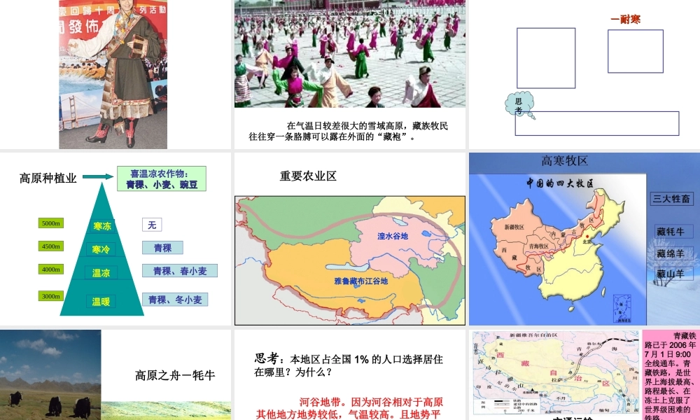 八年级地理下册 第九章 第一节 自然特征与农业课件（2）（新版）新人教版-（新版）新人教版初中八年级下册地理课件