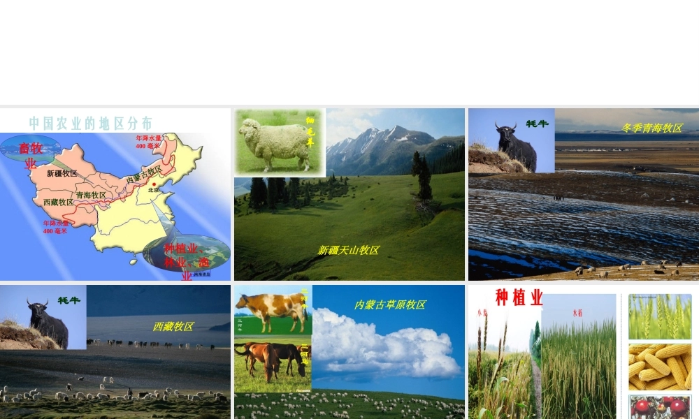 八年级地理上册 第四章 第一节 农业课件 （新版）湘教版-（新版）湘教版初中八年级上册地理课件