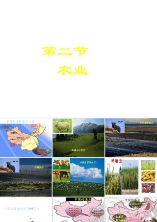 八年级地理上册 第四章 第一节 农业课件 （新版）湘教版-（新版）湘教版初中八年级上册地理课件