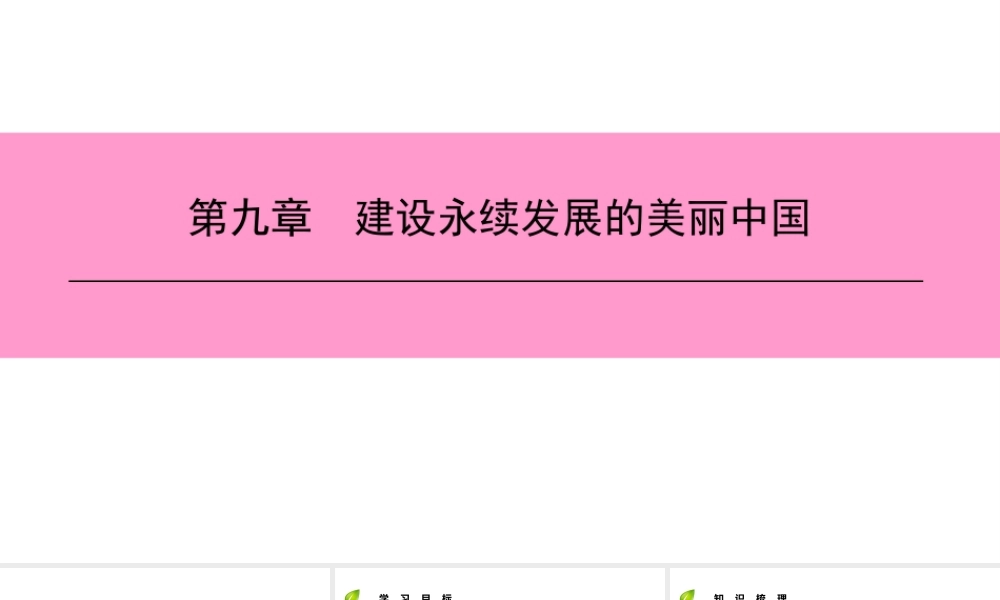 八年级地理下册 第九章 建设永续发展的美丽中国复习课件 （新版）湘教版-（新版）湘教版初中八年级下册地理课件