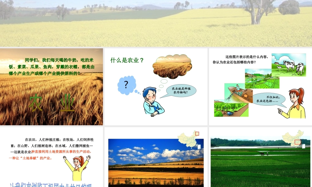 八年级地理上册 第四章 第一节 农业课件 （新版）湘教版