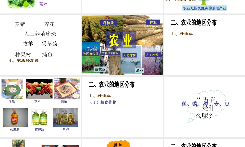 八年级地理上册 第四章 第一节 农业课件 （新版）粤教版-（新版）粤教版初中八年级上册地理课件