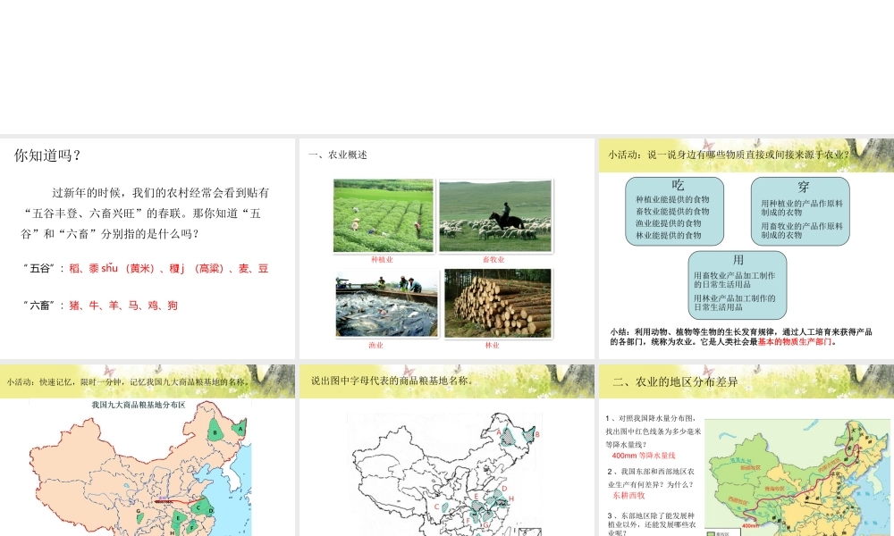 八年级地理上册 第四章 第一节 农业课件 粤教版-粤教版初中八年级上册地理课件