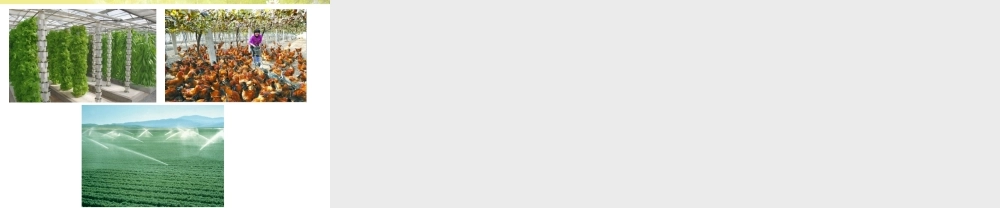 八年级地理上册 第四章 第一节 农业课件 粤教版-粤教版初中八年级上册地理课件