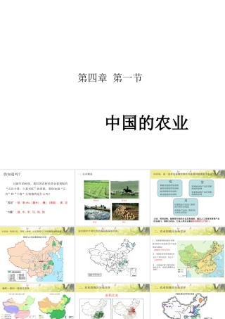 八年级地理上册 第四章 第一节 农业课件 粤教版-粤教版初中八年级上册地理课件