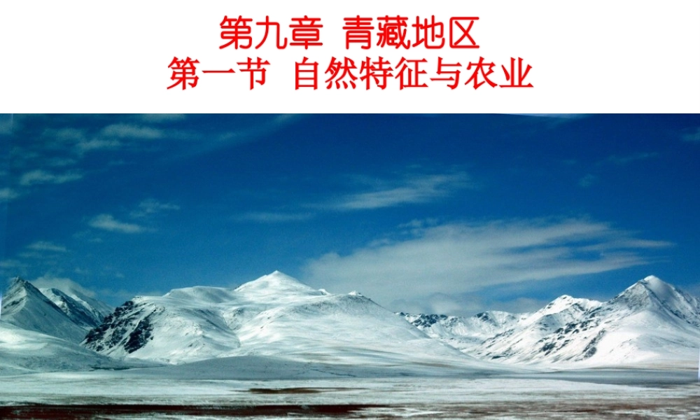 八年级地理下册 8.9 青藏地区自然特征与农业课件 （新版）新人教版