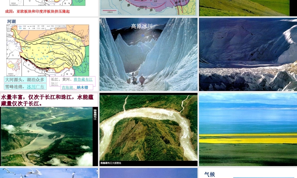 八年级地理下册 8.9 青藏地区自然特征与农业课件 （新版）新人教版