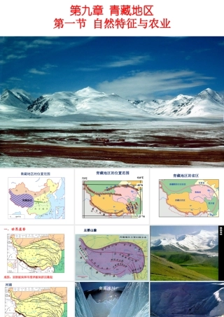 八年级地理下册 8.9 青藏地区自然特征与农业课件 （新版）新人教版